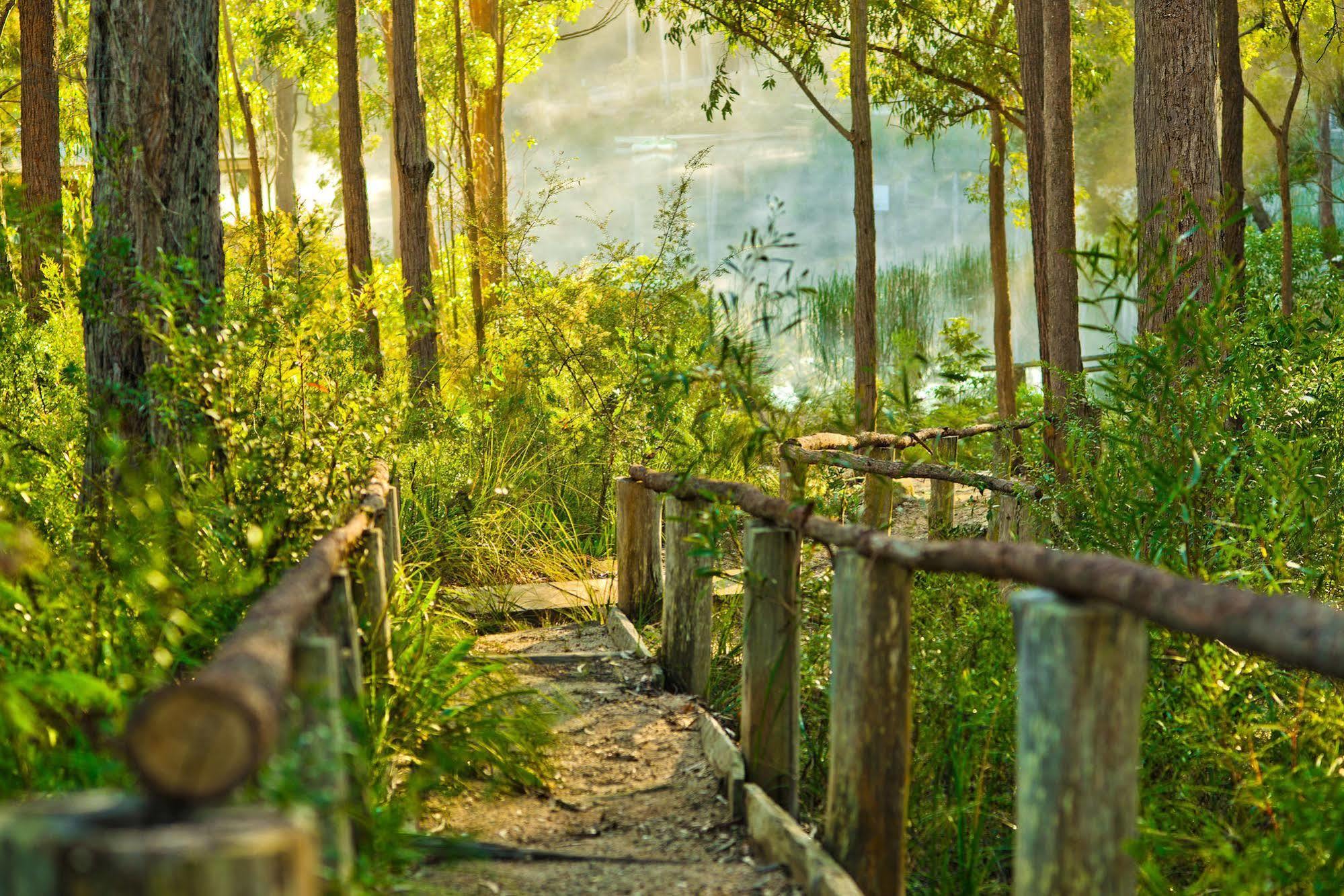 Kianinny Bush Cottages Tathra Ngoại thất bức ảnh